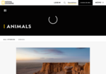 Animals reference -- National Geographic