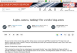Lights, camera, barking! The world of dog actors