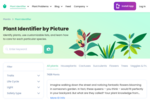 Plant Identifier -- houseplants, succulents, flowers, fruits & vegetables, herbs, and more