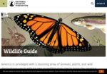 Wildlife Guide - National Wildlife Federation