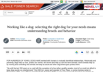 Working like a dog: selecting the right dog for your needs means understanding breeds and behavior